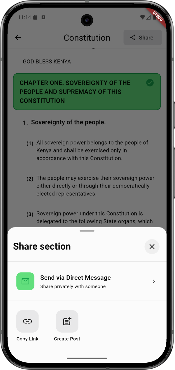 Constitution Interface
